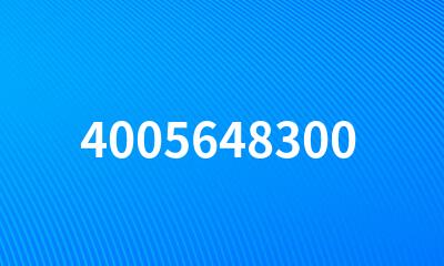 4005648300