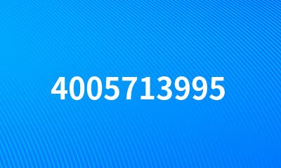 4005713995