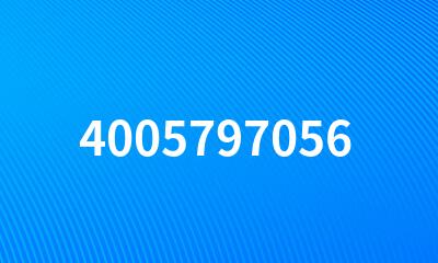 4005797056