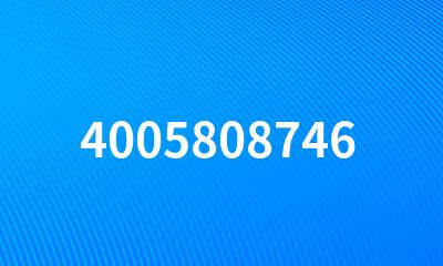 4005808746