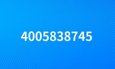 4005838745