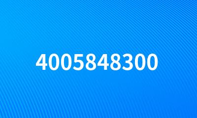 4005848300