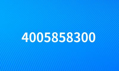 4005858300