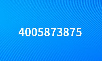 4005873875