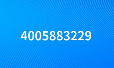 4005883229