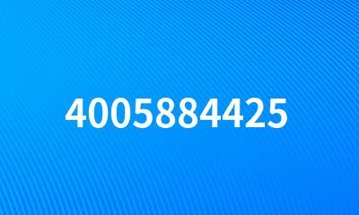 4005884425