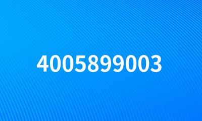 4005899003