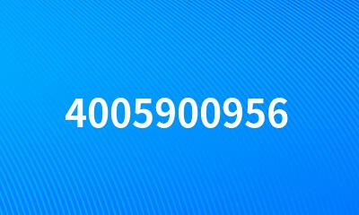 4005900956