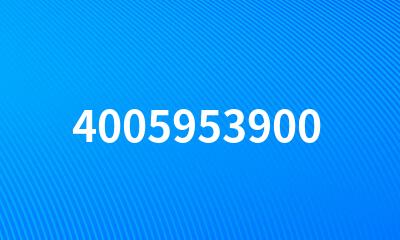 4005953900