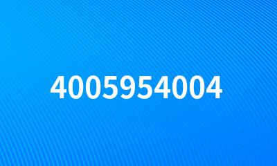 4005954004