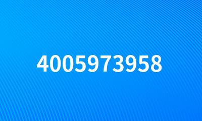 4005973958