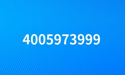 4005973999