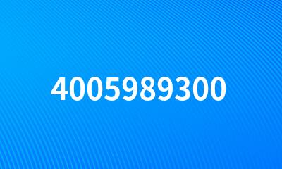 4005989300