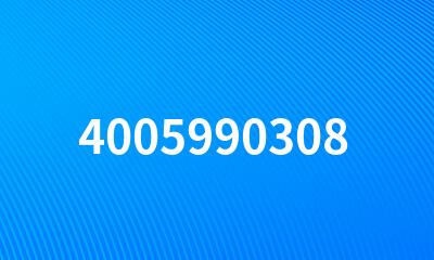 4005990308