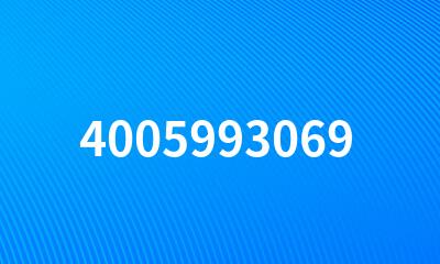 4005993069