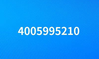 4005995210