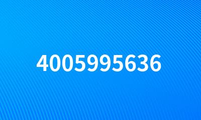 4005995636