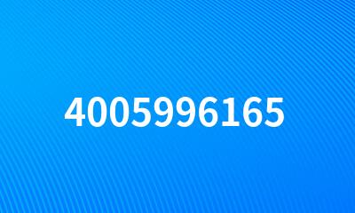 4005996165