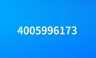 4005996173