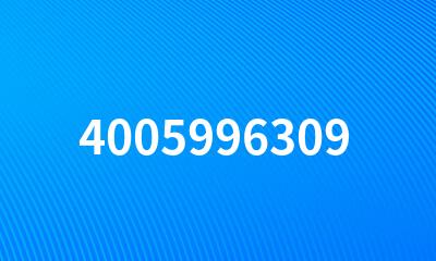 4005996309