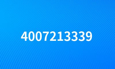 4007213339