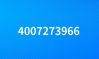 4007273966