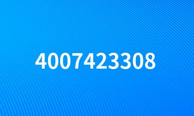 4007423308