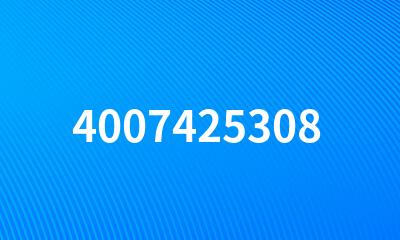 4007425308