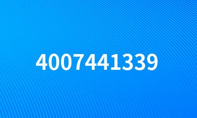 4007441339