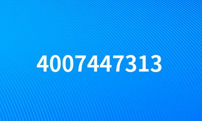 4007447313