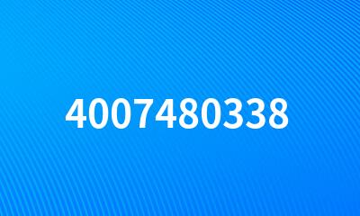 4007480338