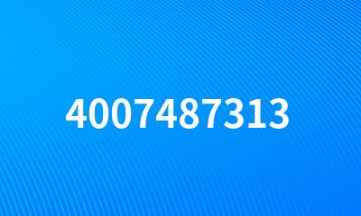 4007487313