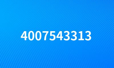 4007543313