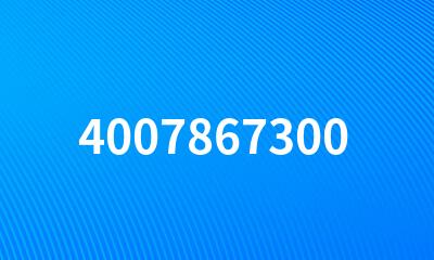 4007867300