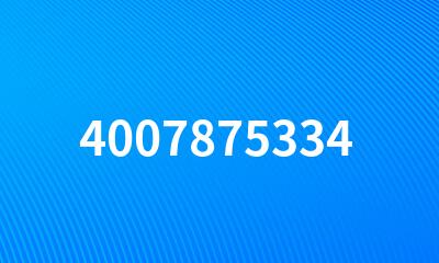 4007875334