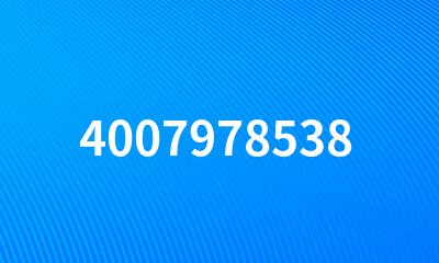 4007978538