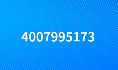 4007995173