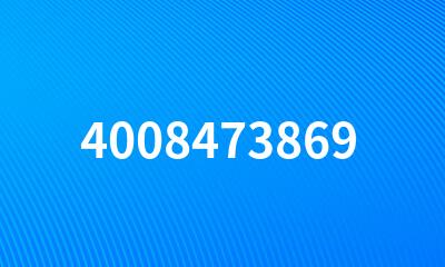 4008473869