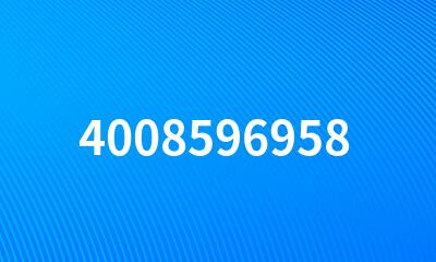 4008596958