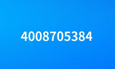 4008705384