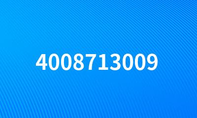 4008713009