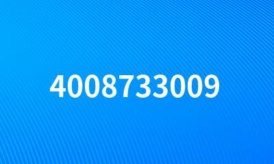 4008733009