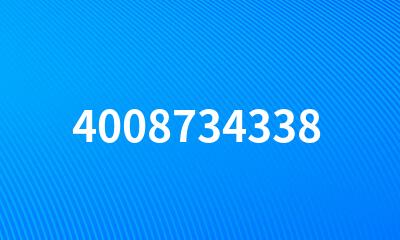 4008734338