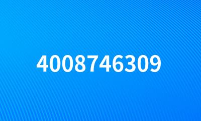 4008746309