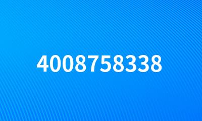 4008758338