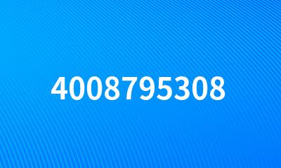 4008795308