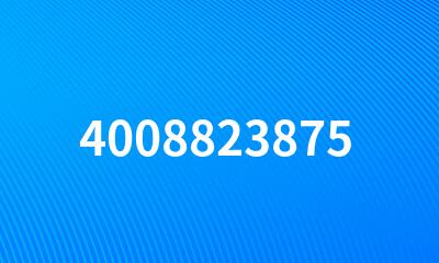 4008823875