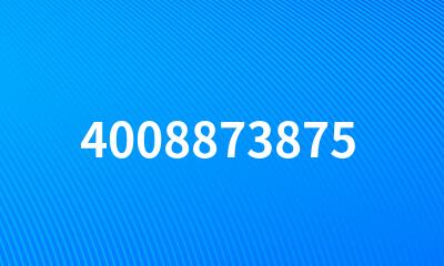 4008873875