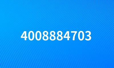 4008884703