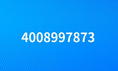 4008997873